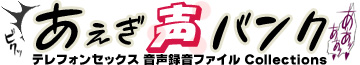 あえぎ声BANK-全国のテレフォンセックス音声録音ファイル