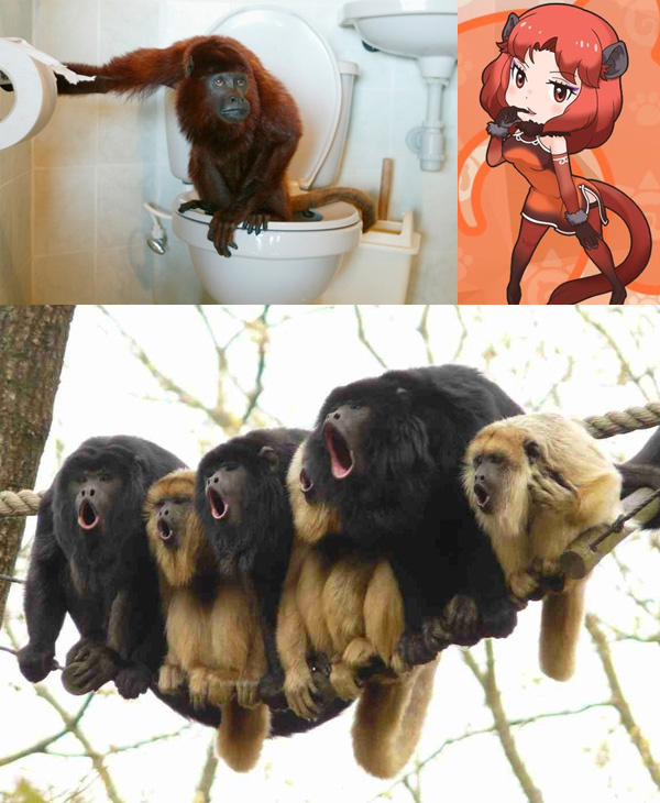 アカホエザルたち